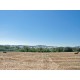 Properties for Sale_COUNTRY HOUSE TO RESTORE FOR SALE IN MARCHE Farmhouse with land in Italy in Le Marche_7